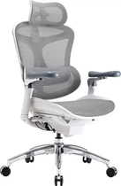 Игровое кресло Sihoo DORO C300 Pro Mesh White (DORO-C300-PRO-M102)