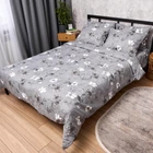 Комплект постельного белья Moon&Star Микросатин Premium Silver Flowers Евро 200х220 наволочки 2х40х60 (MS-820016285)