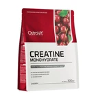 Креатин OstroVit Creatine пакет