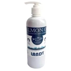 Landy Salmon Oil - Лососева олія (риб`ячий жир) (500 мл)