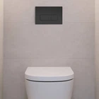 Клавіша змиву Geberit Delta50 115.119.14.1 чорний мат