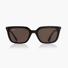 Солнцезащитные очки Ray-Ban RB 4439D 623173 54