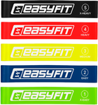 Резинки EasyFit для фитнеса набор из 5 шт EF-1813 (56002831)