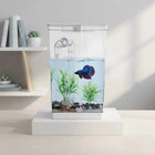Аквариум самоочищающийся My Fun Fish для рыб
