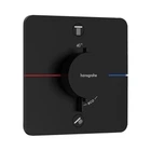 Термостат на 2 потребителя Hansgrohe ShowerSelect Comfort Q (цвет - чёрный матовый) 15583670