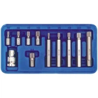 Набор насадок SPLINE 1/2", M5-12, 11 ед. VOREL (66770)