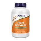 Натуральная добавка Now Foods Plant Enzymes
