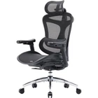 Офисное кресло Sihoo DORO C300L Mesh Black (DORO-C300L-A3-101)