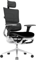 Офисное эргономичное кресло GT Racer X-801L Black (W-21, B-41)