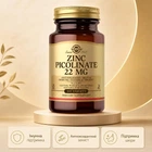 Піколінат цинку для підтримки імунної системи Zinc Picolinate 22 mg - 100 tab