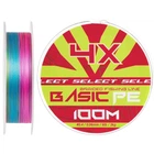 Шнур Select Basic PE 100m (разноцветный) #0.4/0.06mm 6lb/3kg