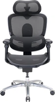 Крісло офісне Sihoo DORO C300 LITE V2 Black (C300-LITE-V2-B101)