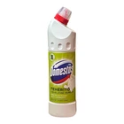 Отбеливатель Domestos Зеленая лаванда 750 мл