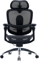 Офисное кресло Sihoo C300 PRO V2 Black (C300-PRO-V2-B101)