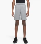 Шорти дитячі Nike Short 137-147 CM Сірий DO7093-091