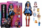 Кукла Монстер Хай Робекка Стим с Питомцем Monster High Robecca Steam Mattel JMB81