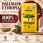 Кофе зерновой Dallmayr Ethiopia 515 г натуральный 100% арабика с кофеином средней обжарки вакуумная упаковка для турки кофемашины капельной кофеварки френч-пресса с кислинкой цветочным ароматом лемонграссом темным шоколадом