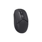 Мишка A4Tech FG12 Black (4711421958912)