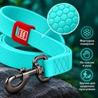 Повідець для собак водостійкий WAUDOG Waterproof, світиться в темряві, S, Ш 15 мм, Д 305 см