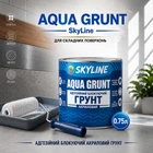 Акрилова ґрунтовка «Skyline Aqua Grunt» блокуючий адгезійний 0.75 л
