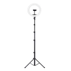 Кольцевая лампа селфи кольцо JOYROOM Fill light live holder JR-ZS228 AKL03 |2A, 2700-5700K|. Black