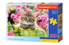 Пазлы Castorland Котенок 100 элементов детские развивающие для логики и мелкой моторики рук комбинированные разноцветные для детей и взрослых