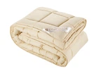 Одеяло DOTINEM CASSIA GRANDIS микрофибра зимнее 175х210 см (211379-3)