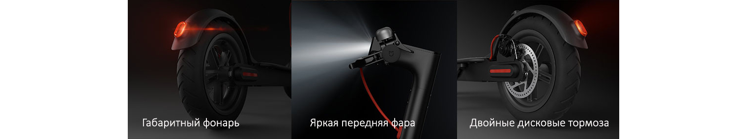 51093260.jpg
