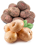 Насіння картоплі