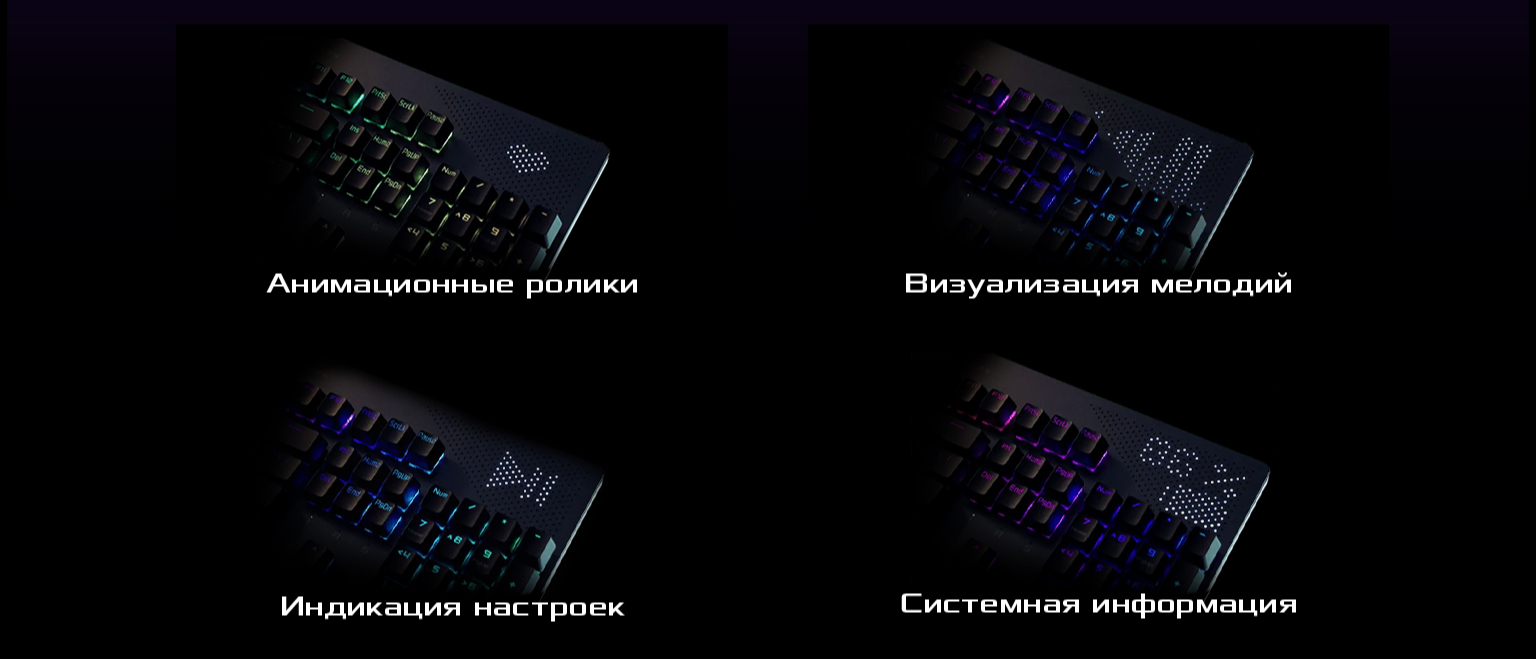 Клавиатура проводная ASUS ROG Strix Flare II Animate NX Red USB EN PBT  (90MP02E6-BKUA01) – фото, отзывы, характеристики в интернет-магазине  ROZETKA | Купить в Украине: Киеве, Харькове, Днепре, Одессе, Запорожье,  Львове