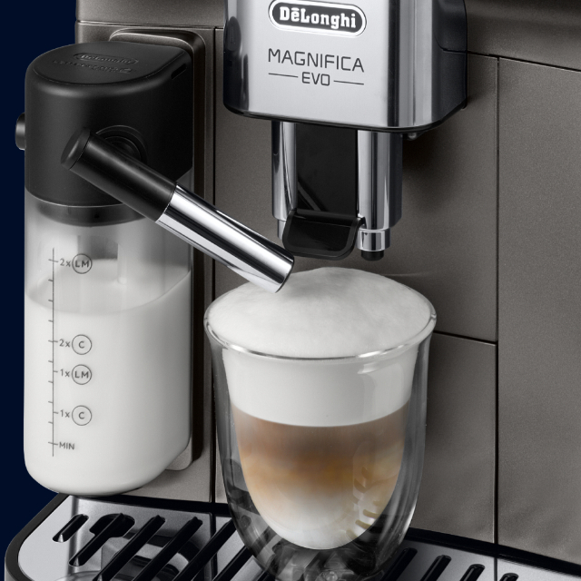 Delonghi evo 290.81