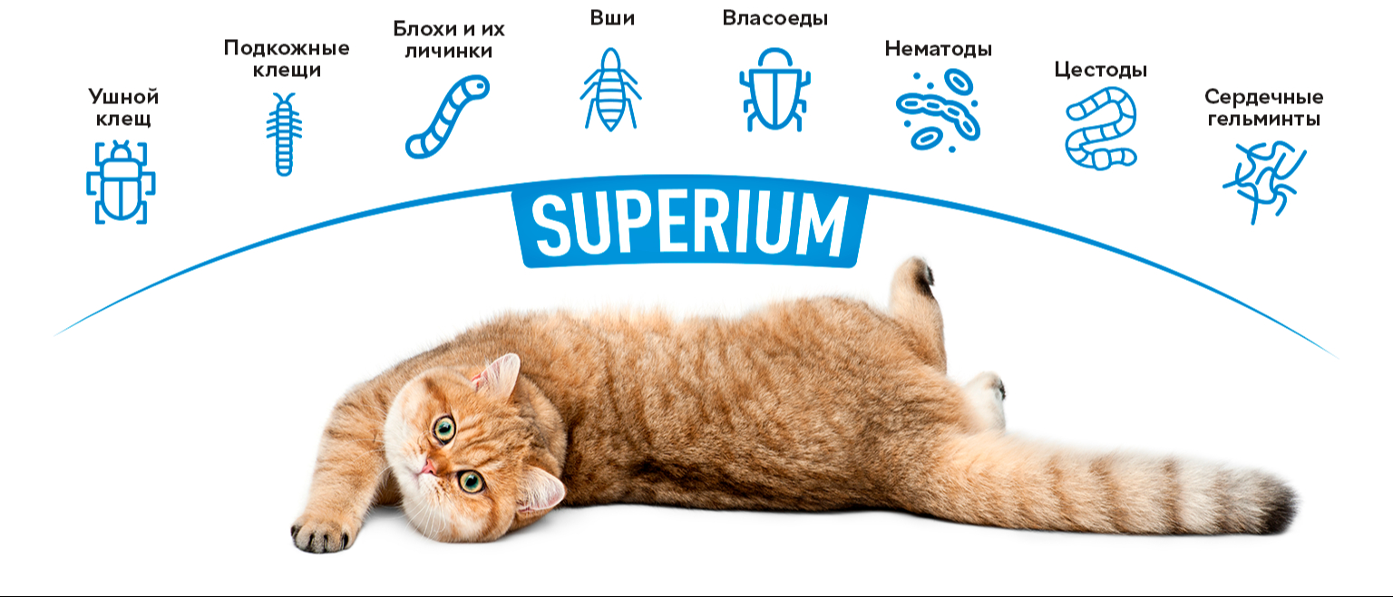 Противопаразитарные таблетки SUPERIUM Панацея для котов 2-8 кг ...